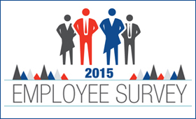 Employee Survey Infographic